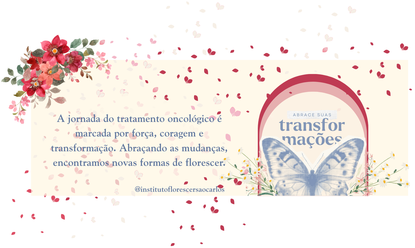 Imagem2